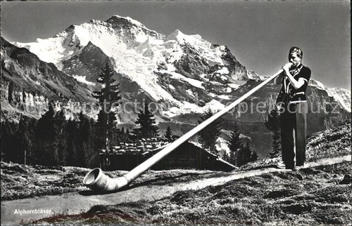 Alphorn alphornbläser - alphorn,