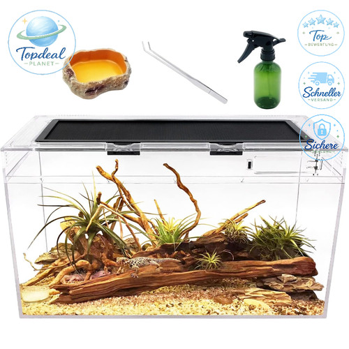 Terrarium komplettset - terrarium,