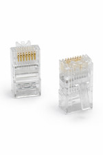 RJ45 Western Plug Stecker