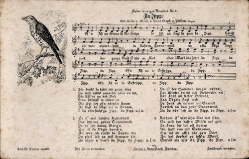 Lied soph hans da zipp - ak,