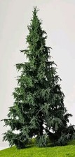 🍀Modellbaum H0 Freon-Fichte