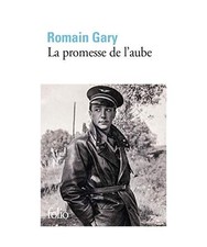 La promesse de l'aube, Romain