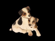 Jack Russell Terrier Hund