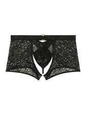 HOM Herren Boxer String Pure