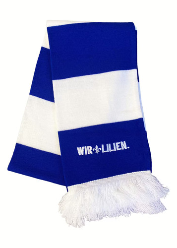 Darmstadt 98 - sv,