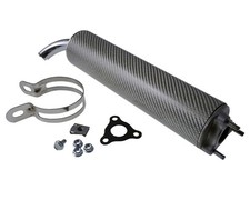 Auspuff ESD Carbon silber