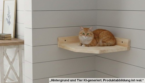 Eck wandsitzbrett für katzen - für,
