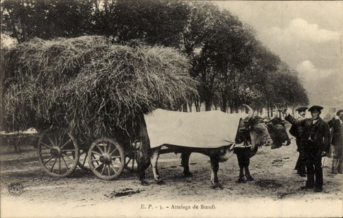 Landwirtschaft heuernte - heuernte,