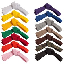 Century Budo Kampfsportgürtel