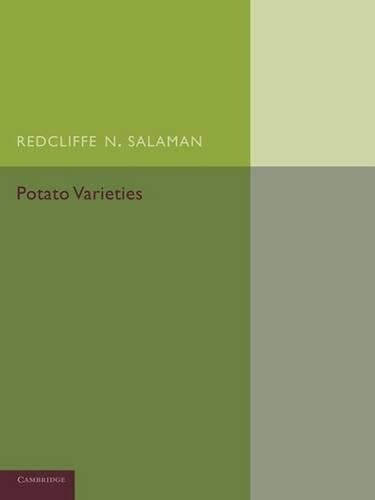 Potato varieties redcliffe - by,