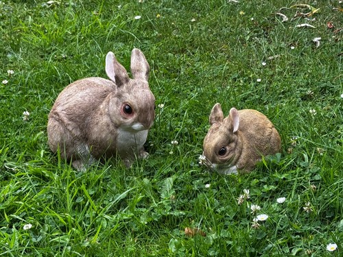 2er set hasen - hasen, osterhase