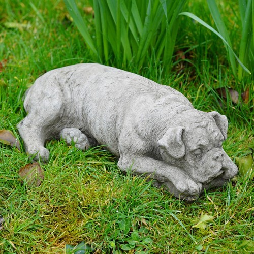 Boxer hund stein statue - statue, |