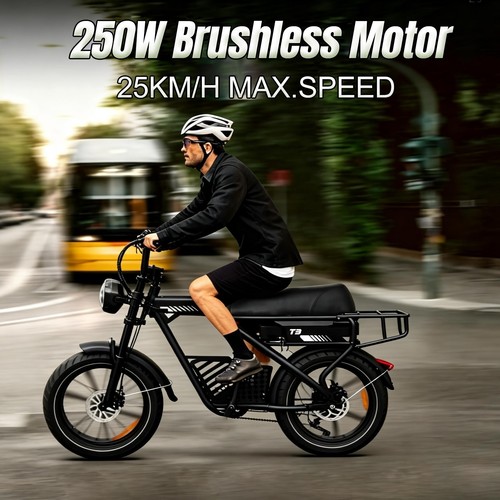 Avdl fatbike 250w - 250w, 25kmh