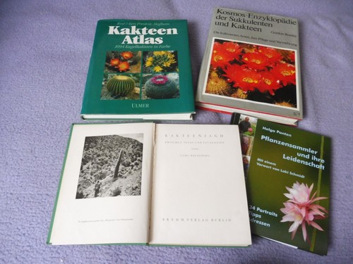 Kakteen sukkulenten bücher - ,