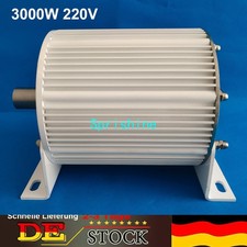 DE 3000W 220V Permanentmagnet