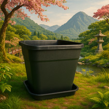 Blumen Topf mit Untersetzer in