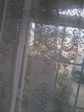 Hübsches Paar graue