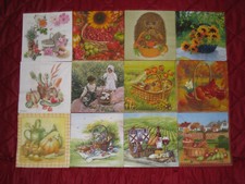 Set 12-Besten Servietten ~ KORB, Picknick, Blumen, Pilze, Landschaft ~ 33x33