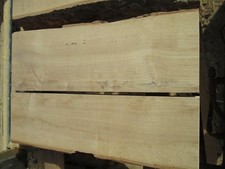 8 St. Eschenholz 47 mm