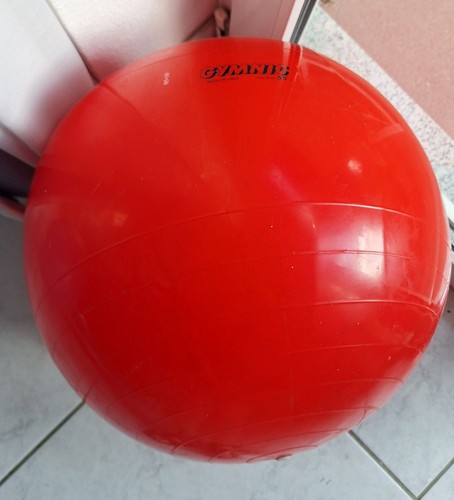 Pezzi ball gymnic - pezzi-ball, 55cm