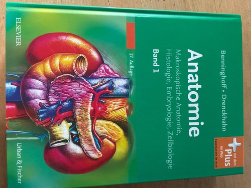 Anatomie benninghoff - anatomie,