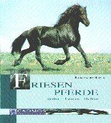 Friesen pferde reiten - reiten,
