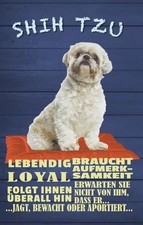 Holzschild 30x20 cm Shih Tzu