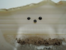 Echter Onyx rund Cabochon