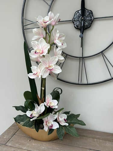 Blassrosa luxus seidenorchidee - blassrosa,