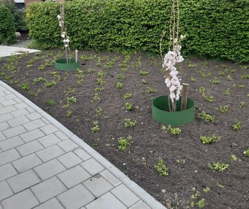 Gießrand grün 30cm - , hoch