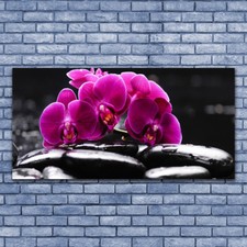 Acrylglasbilder wandbilder - acrylglasbilder,