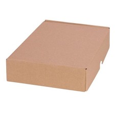 Maxibriefkarton 240x160x50 mm