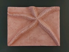 XXL Seestern natur 31,5 x 23 cm - maritim Sommer Strand Meer Deko Dekoration 