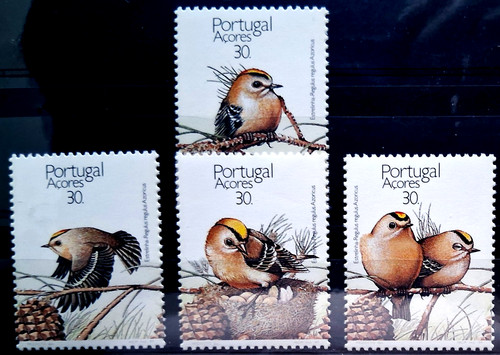 Vögel postfrischer satz - vögel,
