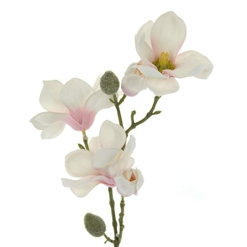 Dpi kunstblume magnolienzweig - dpi,