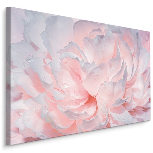Canvas leinwand bilder xxl - canvas,