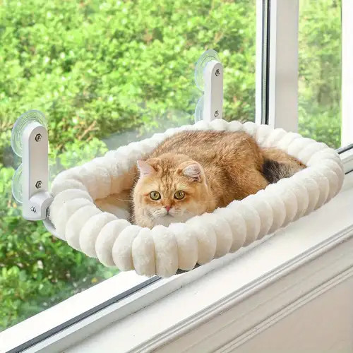 Katzen fensterliege katzenbett - katzen,