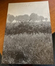 Uecker/Verheyen - Flämische