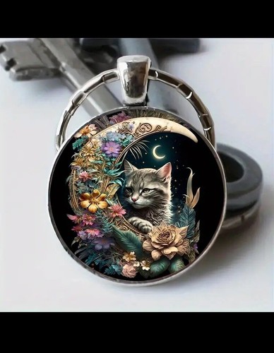 Katzen katze - katzen,