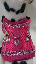Hundegeschirr X S mit Glitzer