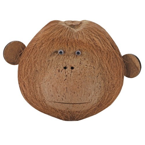 Coco monkey kokosnuss affe - coco, 2