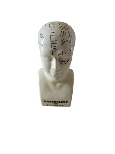 Phrenology head fowler 6 - phrenology, l.n.