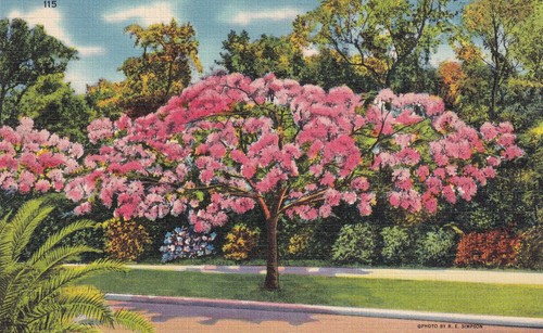 Postkarte usa florida - postkarte,