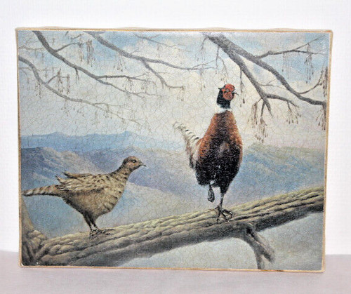 Bild natur vogel - , paar