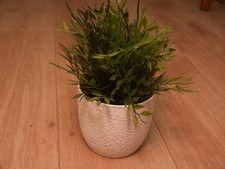 IKEA - Kunstpflanze (Urnenpflanze/Dischidia ruscifolia) mit Übertopf**