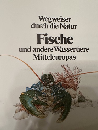 Fische und andere wassertiere - fische,