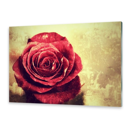 Acrylglasbilder wandbild aus - acrylglasbilder,