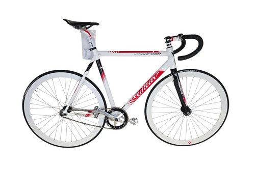 Rennrad wilier - /,