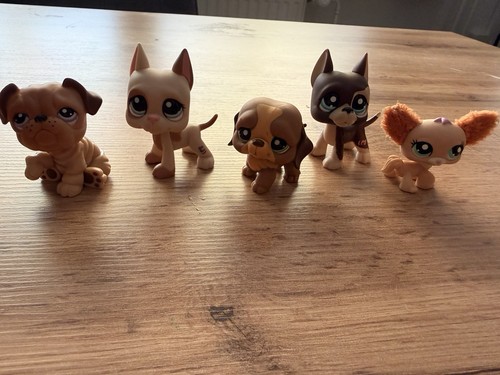 Little pet shop - little,