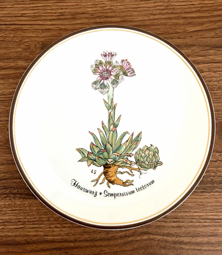 Rosenthal classic sammelteller - classic,